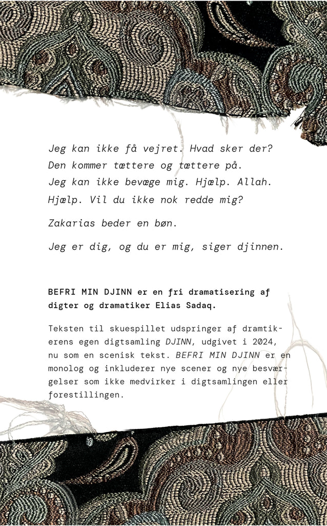 Befri min djinn [FORUDBESTIL NU, udk. 12.11.]